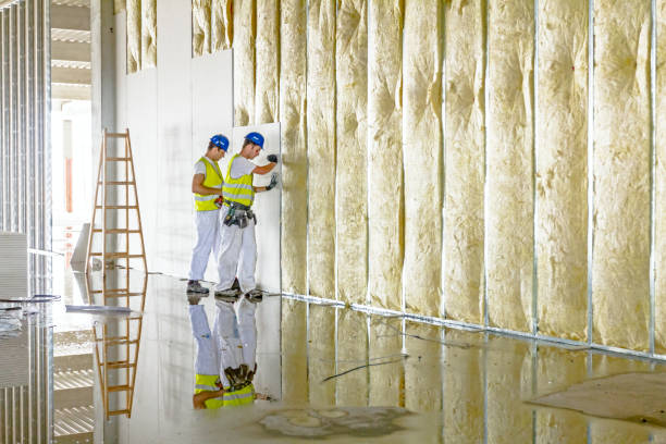 Best Eco-Friendly Insulation in Florence, TX